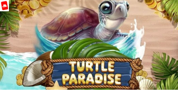 Turtle Paradise, nouvelle machine à sous Red Tiger sur la ponte des tortues de mer